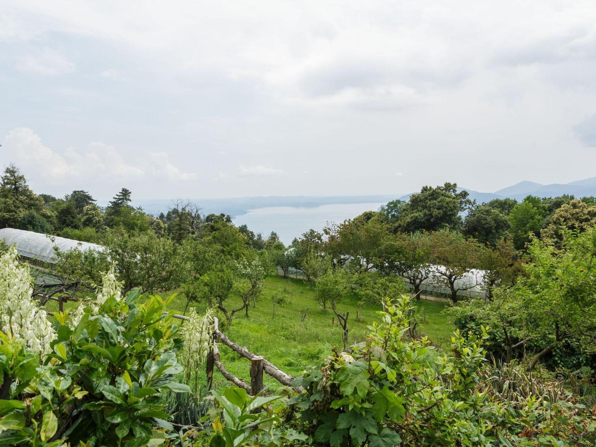 Unique Holiday Experience In The Greenery Villa Verbania Exterior photo