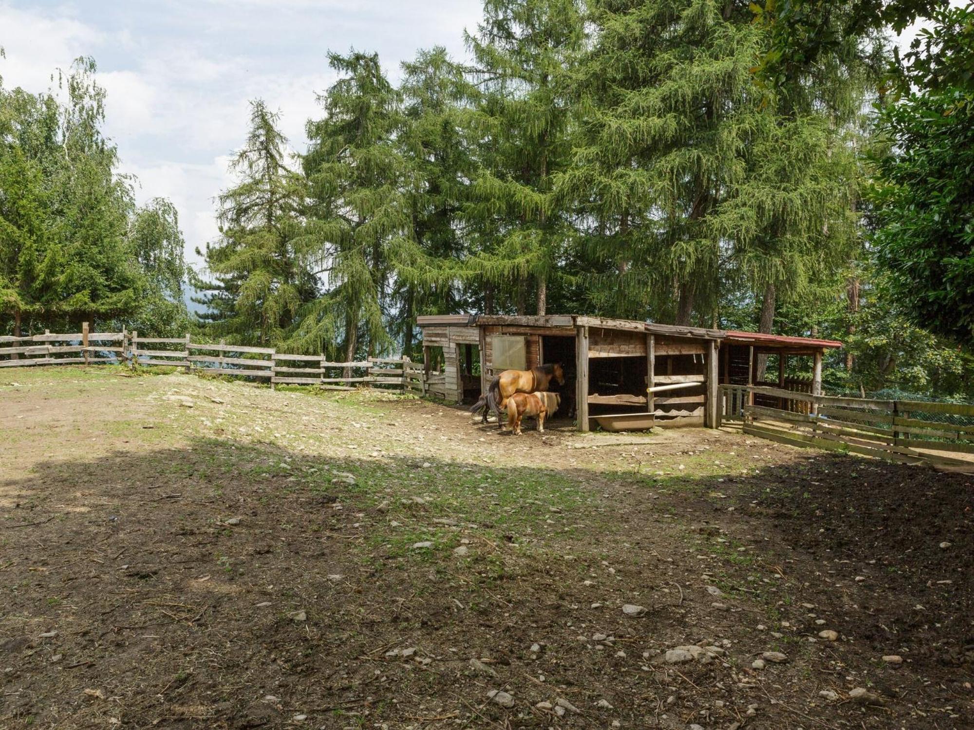 Unique Holiday Experience In The Greenery Villa Verbania Exterior photo